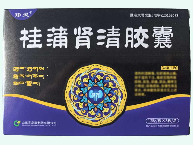 桂蒲肾清胶囊