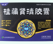 桂蒲肾清胶囊价格对比 36粒 珍灵