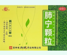 通生肺宁颗粒价格对比 10g*10袋 尚城药业