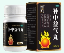 桐岭堂补中益气丸价格对比 160丸 正辉煌药业