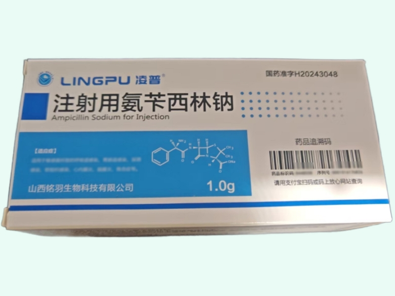 注射用氨苄西林钠
