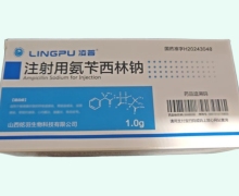 凌普注射用氨苄西林钠价格对比 10瓶