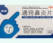 通窍鼻炎片价格对比 45片 鼎鹤