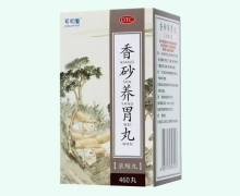 可可康香砂养胃丸价格对比 460丸 济世