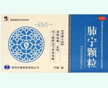 修正肺宁颗粒价格对比 10g*20袋