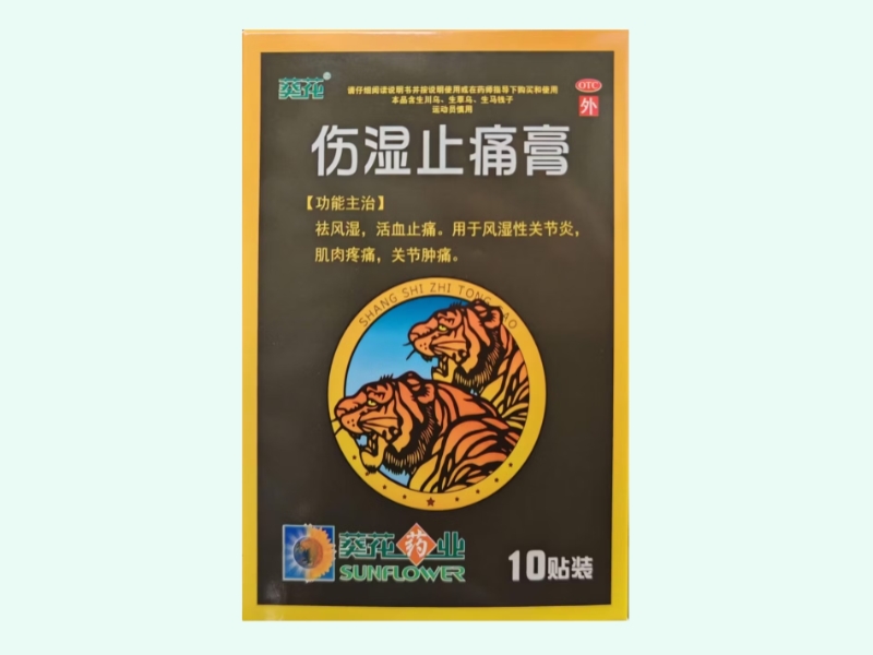 伤湿止痛膏
