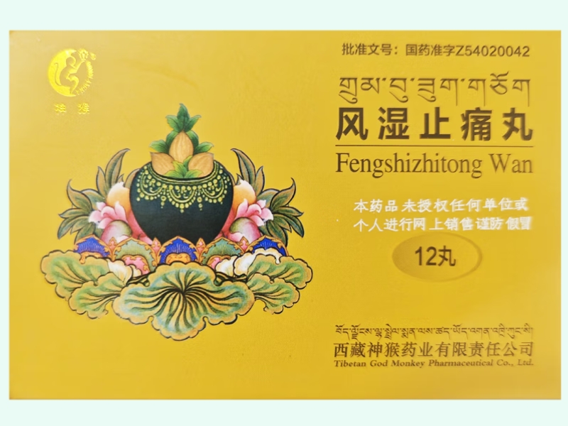 風(fēng)濕止痛丸