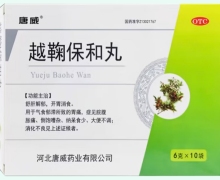 唐威越鞠保和丸價(jià)格對(duì)比 10袋