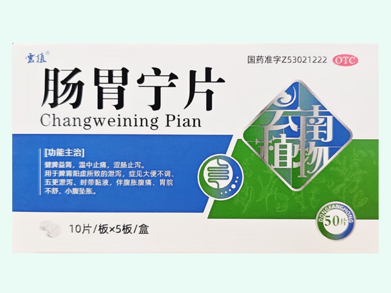 肠胃宁片
