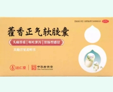 藿香正气软胶囊(达仁堂)价格对比 50粒