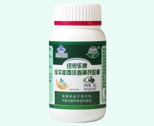 京樂寶紐倍樂牌淫羊藿西洋參黃芪膠囊價格對比