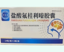 珍芝堂盐酸氟桂利嗪胶囊价格对比 28粒