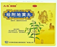 桂附地黄丸价格对比 20袋 桐君阁