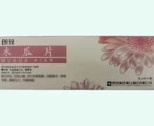 朗致木瓜片价格对比 4片