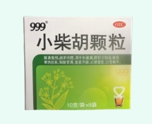 999小柴胡颗粒价格对比 9袋 一力制药