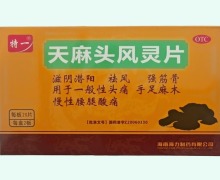 特一天麻头风灵片价格对比 40片(20片*2板)