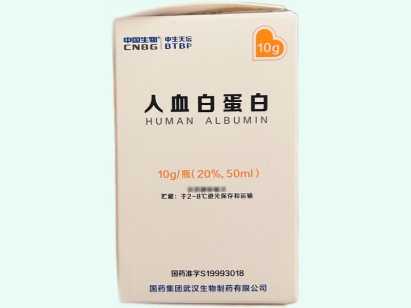 人血白蛋白