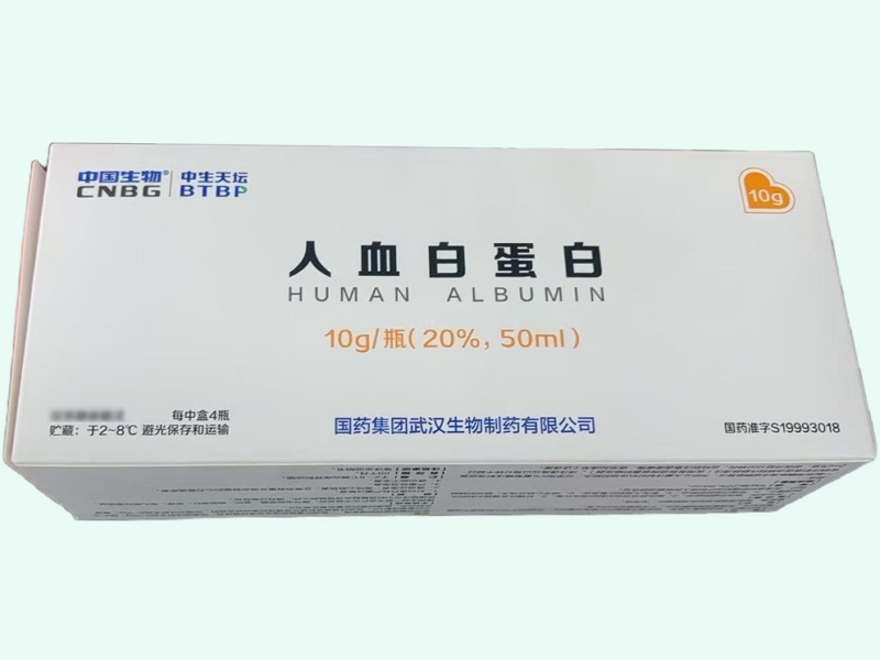 人血白蛋白