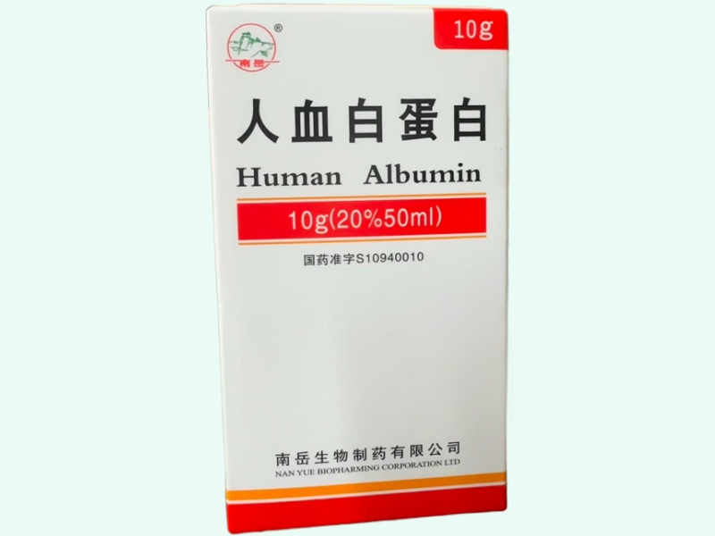 人血白蛋白