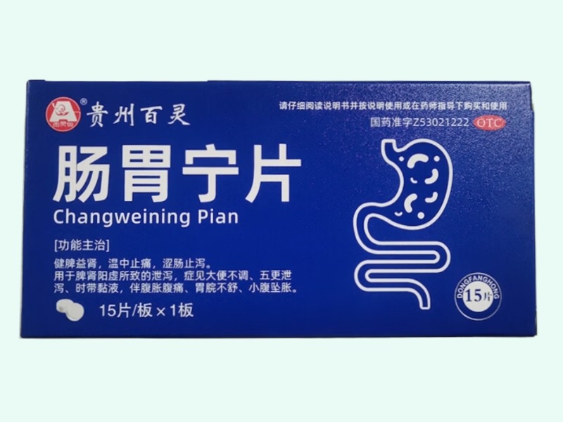 肠胃宁片