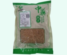 佡嘉昊森浮小麦价格对比 0.5kg