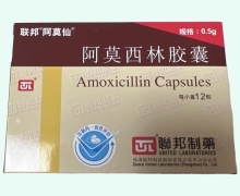 阿莫西林胶囊(阿莫仙)价格对比 12粒 珠海联邦制药
