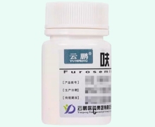 呋塞米片价格对比 100片(裸瓶不带盒) 云鹏
