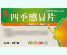 四季感冒片价格对比 28片 大同大源