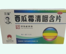 西瓜霜清咽含片价格对比 16片 三金