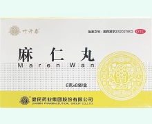 叶开泰(麻仁丸)价格对比 8袋
