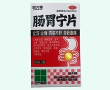 四方制药肠胃宁片价格对比 60片(红盒) OTC版