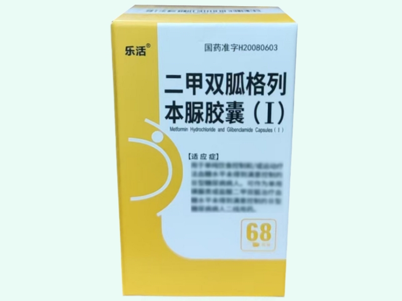 二甲双胍格列本脲胶囊(Ⅰ)