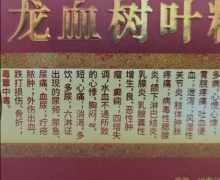 李永利在本草甄选推荐的龙血树叶粉是真是假？