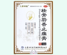 壮骨麝香止痛膏价格对比 10贴 九寨神贴