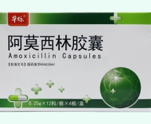 华烁阿莫西林胶囊价格对比 48粒 安徽仁济制