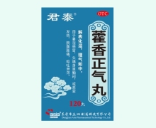 藿香正气丸价格对比 120丸 君泰
