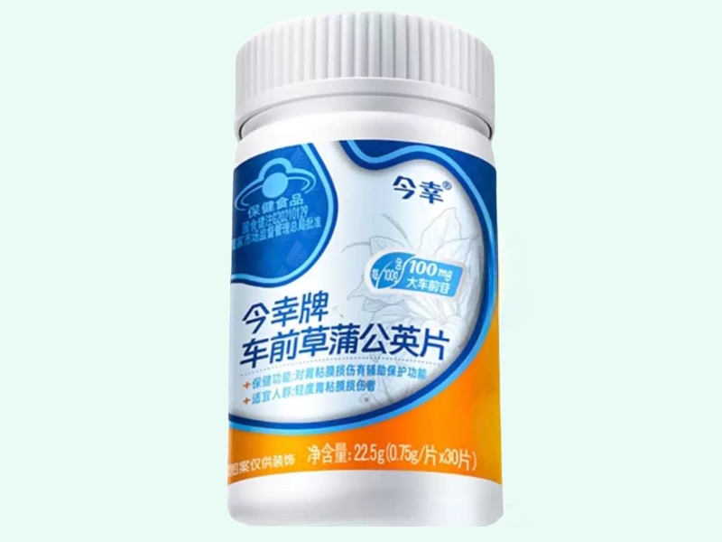 今幸牌车前草蒲公英片