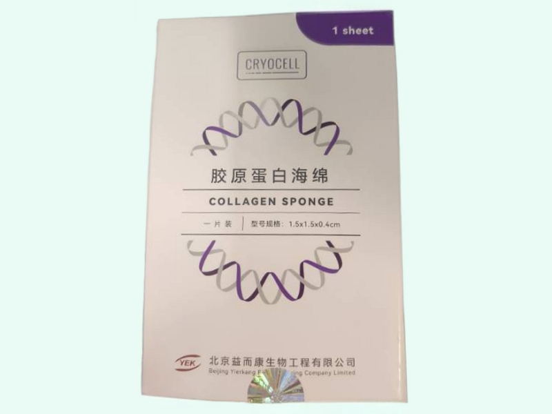 胶原蛋白海绵