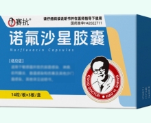 赛抗诺氟沙星胶囊价格对比 42粒