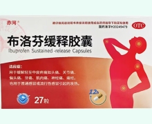 亦河布洛芬缓释胶囊价格对比 27粒