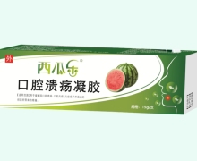 西瓜乐口腔溃疡凝胶价格对比 15g