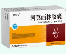 效立安阿莫西林胶囊价格对比 48粒