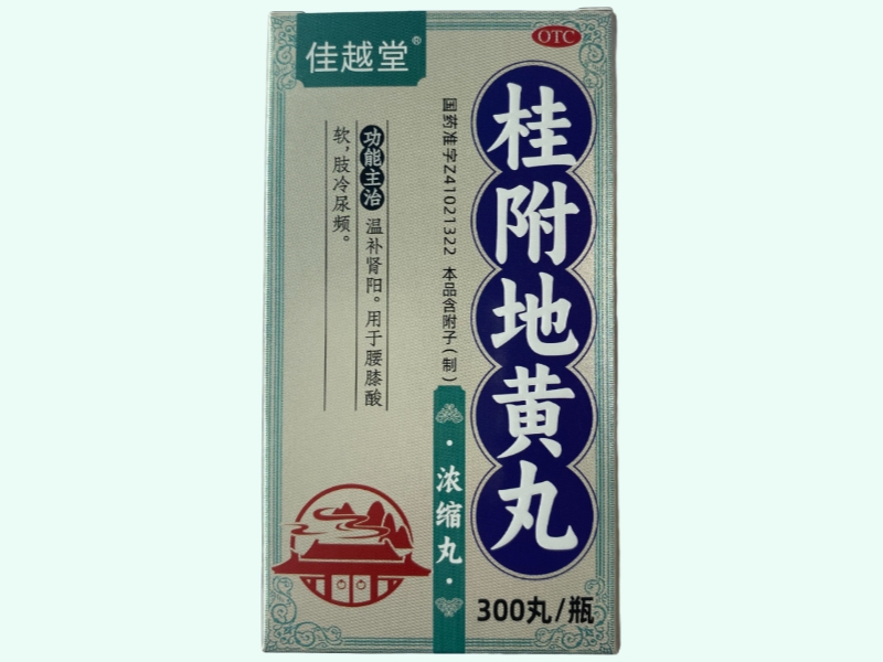 桂附地黄丸(浓缩丸)