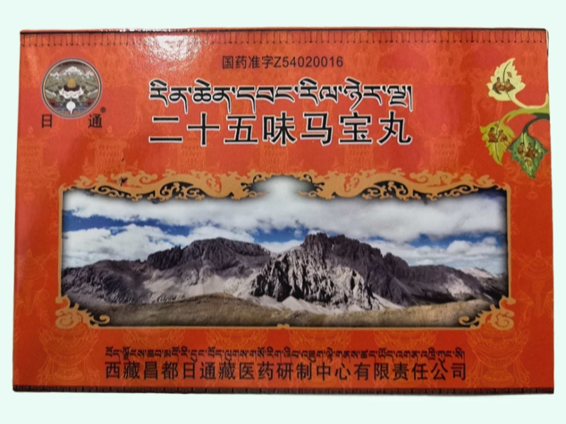 二十五味马宝丸(日通)