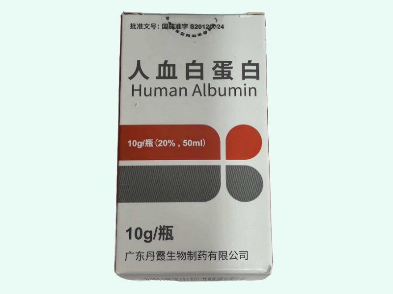 人血白蛋白