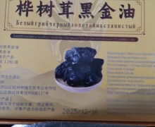 桦树茸黑金油多少钱？哪里有买？
