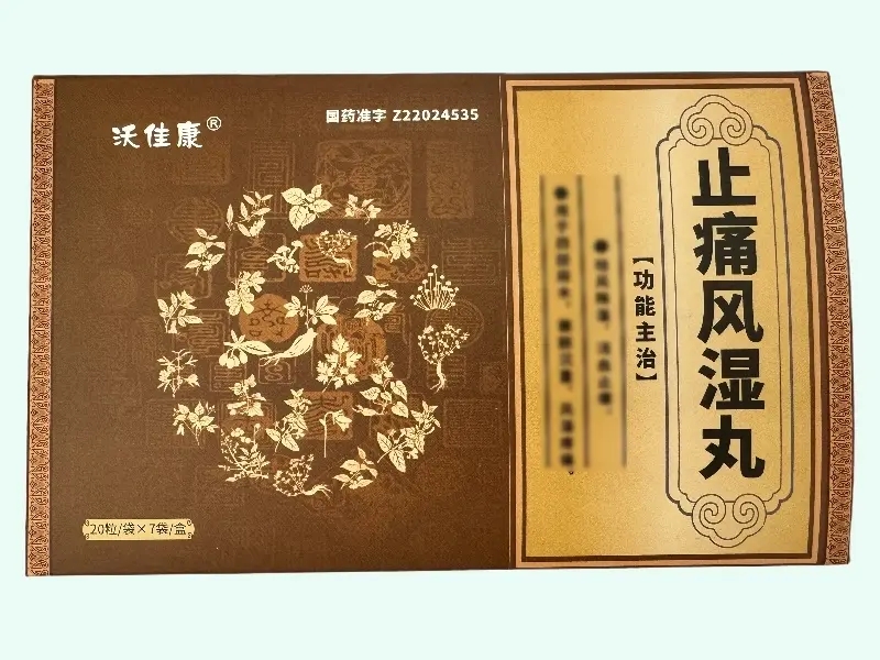 止痛风湿丸