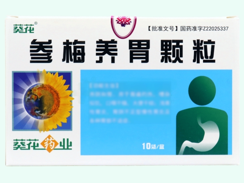 参梅养胃颗粒