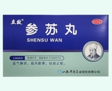 参苏丸(立效)价格对比 6袋 华康药业