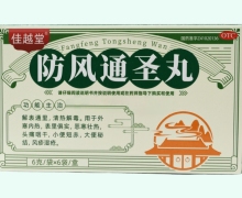 佳越堂防风通圣丸价格对比 6袋